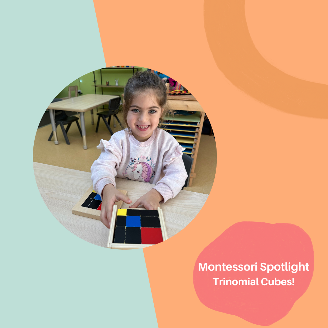 Montessori Spotlight