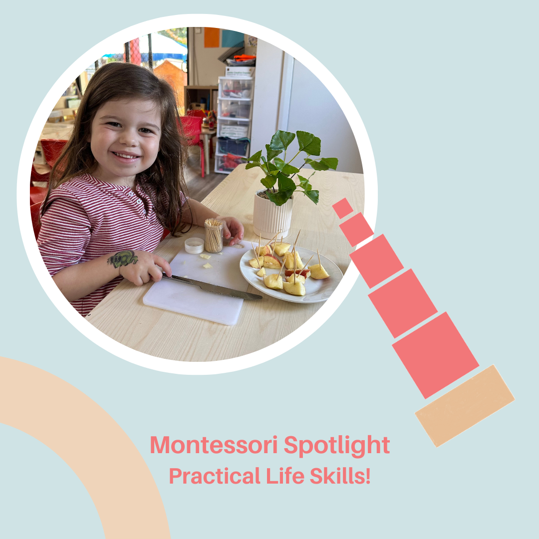 Montessori Spotlight Practical Life Skills